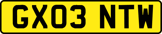 GX03NTW
