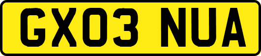 GX03NUA