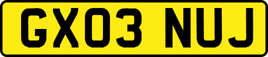 GX03NUJ