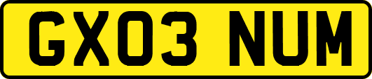 GX03NUM