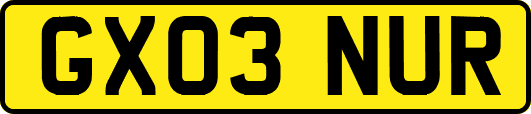 GX03NUR