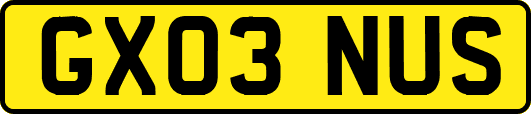 GX03NUS