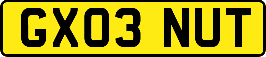 GX03NUT