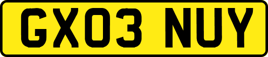 GX03NUY