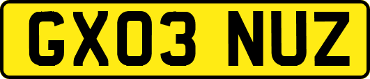 GX03NUZ