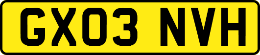 GX03NVH