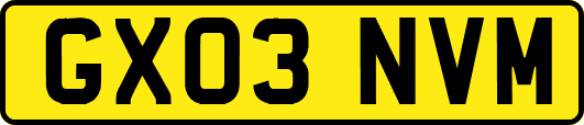 GX03NVM