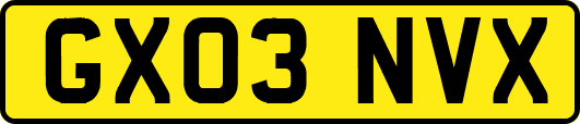 GX03NVX