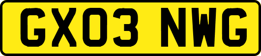 GX03NWG