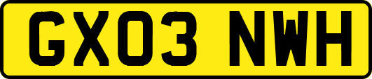 GX03NWH