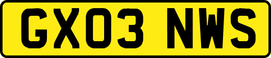GX03NWS