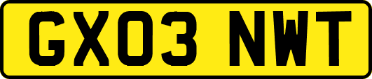 GX03NWT