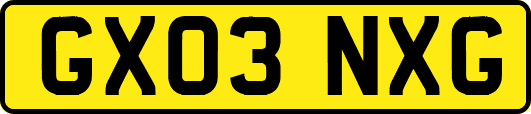 GX03NXG