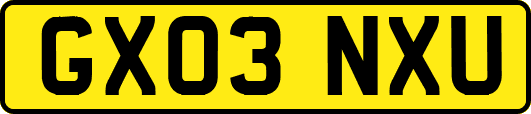 GX03NXU