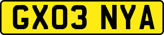 GX03NYA