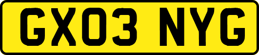 GX03NYG