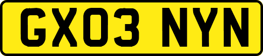 GX03NYN