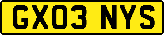GX03NYS