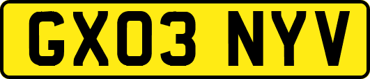 GX03NYV