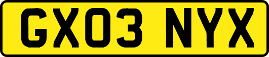 GX03NYX