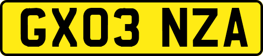 GX03NZA