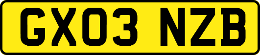 GX03NZB
