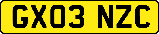 GX03NZC