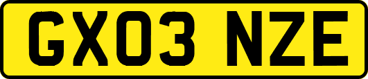 GX03NZE