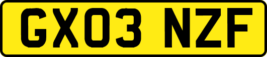 GX03NZF
