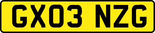 GX03NZG