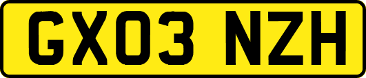 GX03NZH