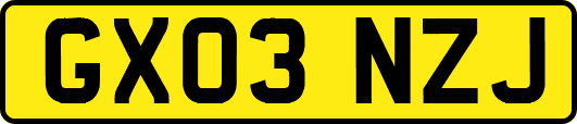 GX03NZJ