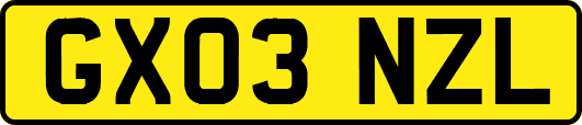 GX03NZL