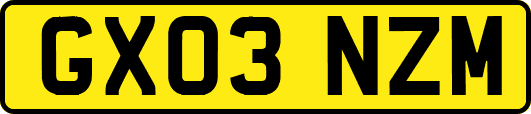 GX03NZM