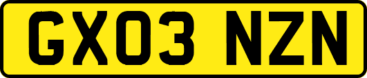 GX03NZN