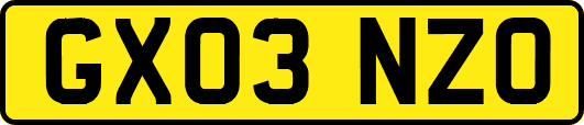 GX03NZO
