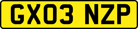 GX03NZP