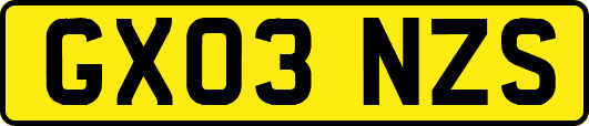 GX03NZS