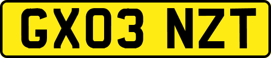 GX03NZT