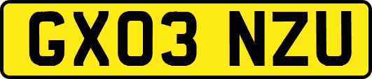 GX03NZU