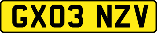 GX03NZV