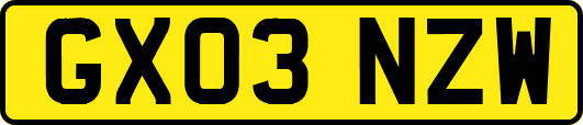 GX03NZW
