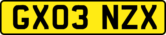 GX03NZX