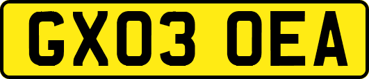GX03OEA