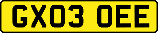GX03OEE