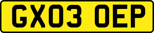 GX03OEP