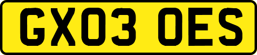 GX03OES