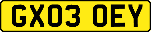 GX03OEY