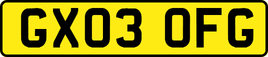 GX03OFG