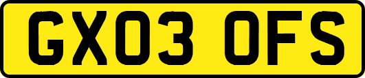 GX03OFS